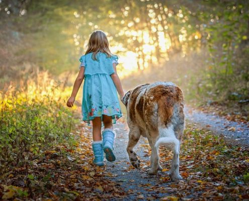 4Pfoten-Urlaub Ferien mit Kind und Hund