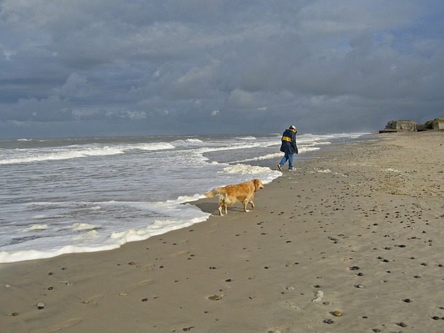 4Pfoten-Urlaub Dänemark mit Hund entdecken