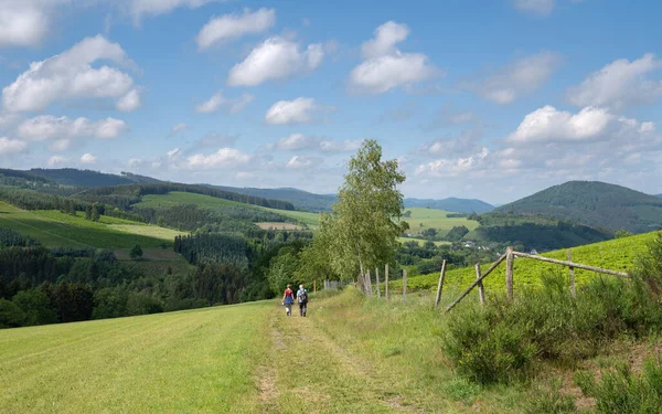 4Pfoten-Urlaub Wanderurlaub mit Hund im Sauerland
