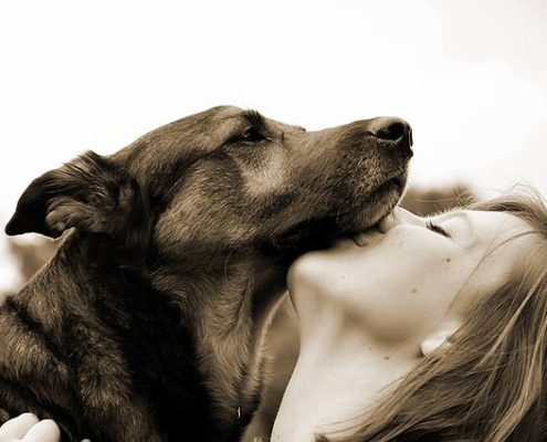 4Pfoten-Urlaub Hund vertraut seinem Frauchen