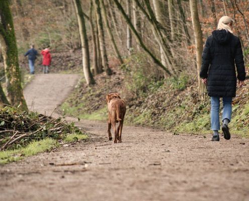 4pfoten-urlaub Silent Walk