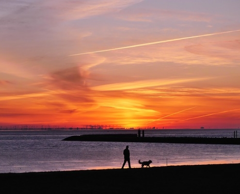 4Pfoten-Urlaub Cuxhaven mit Hund entdecken