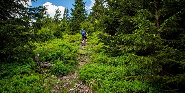 4Pfoten-Urlaub Rennsteig Thüringen