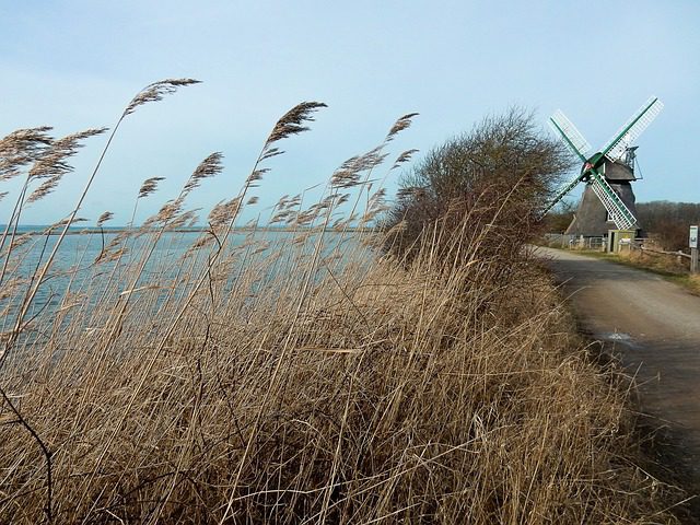 4Pfoten-Urlaub Geltinger Birk