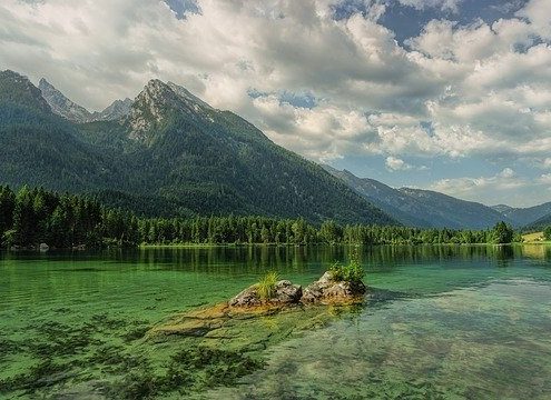 4Pfoten-Urlaub Bayern mit Hund