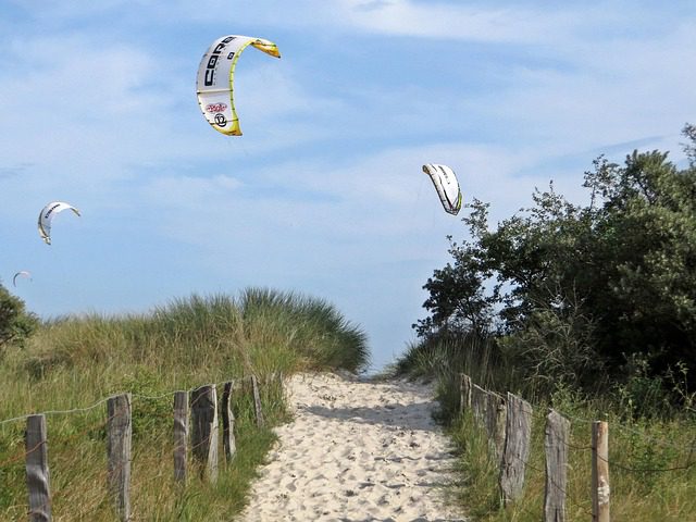 4Pfoten-Urlaub Ostseeurlaub mit Hund