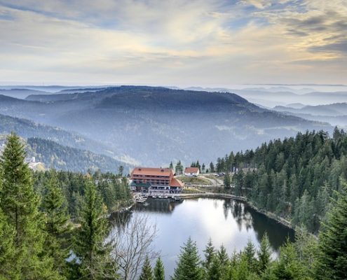 4Pfoten-Urlaub Schwarzwald mit Hund