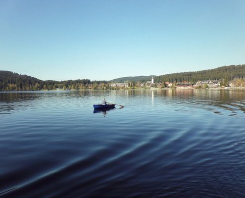 4Pfoten-Urlaub Titisee mit Hund