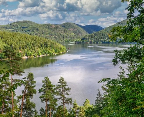 4Pfoten-Urlaub Stausee in Thüringen