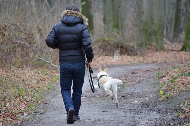 4Pfoten-Urlaub Hund läuft weg