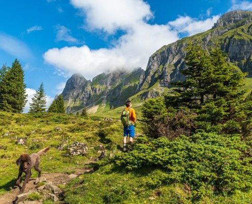 4Pfoten-Urlaub Wandern mit Hund