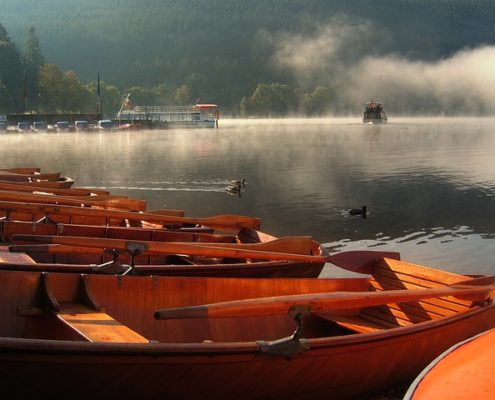 4Pfoten-Urlaub Titisee mit Hund