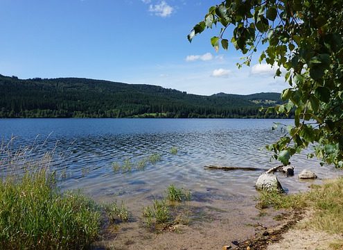 4Pfoten-Urlaub Schluchsee im Schwarzwald mit Hund