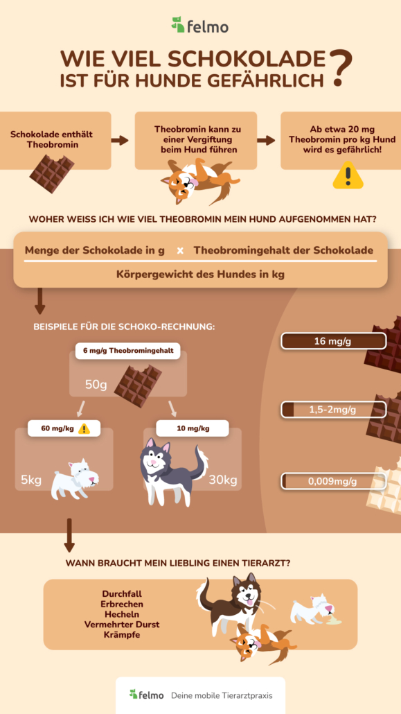 Infografik Schokolade