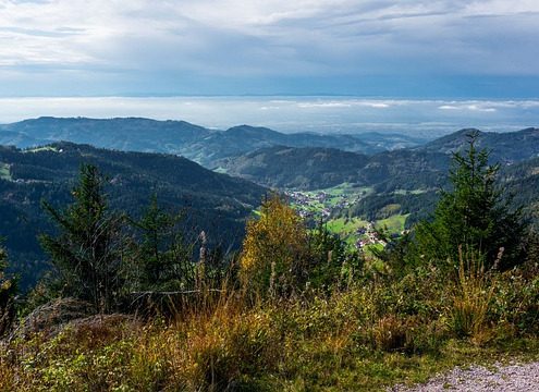 4Pfoten-Urlaub Seebach mit Hund