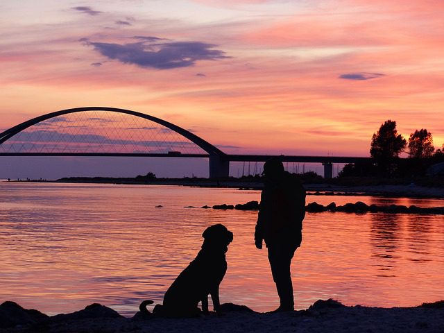 4Pfoten-Urlaub Fehmarn mit Hund