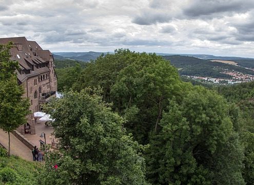 4Pfoten-Urlaub Wandern mit Hund im Thüringer Wald