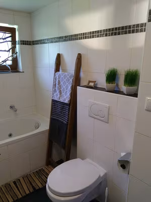 _image5