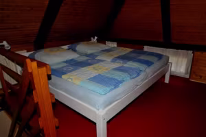 _image4