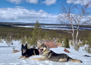 _image1