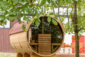 _image2
