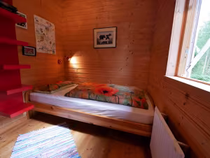 _image7