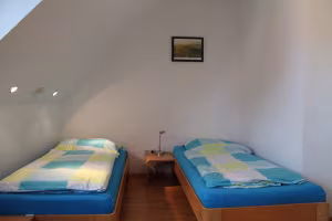 _image4