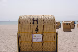 _image5