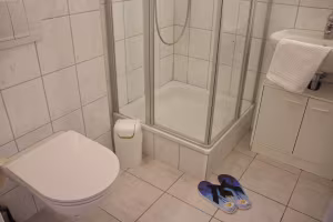 _image7