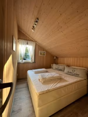 _image3