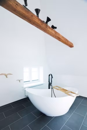 _image8