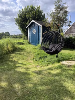 _image18