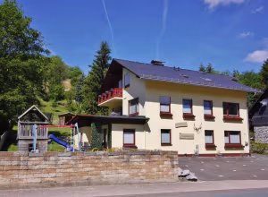 _image1