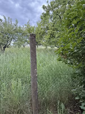 _image6