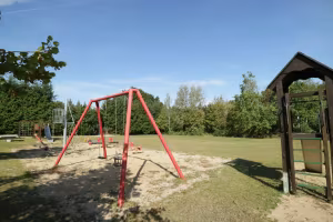 _image18