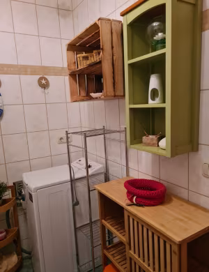 _image7