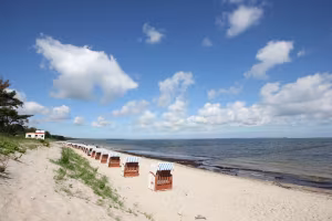 _image1