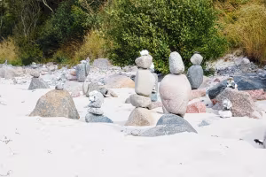 _image1