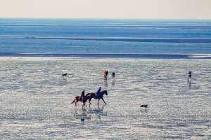 _image1