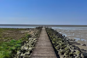 _image11