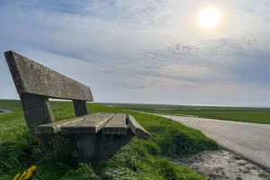 _image11