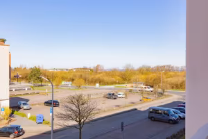 _image1