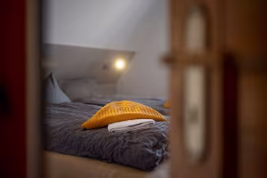 _image4