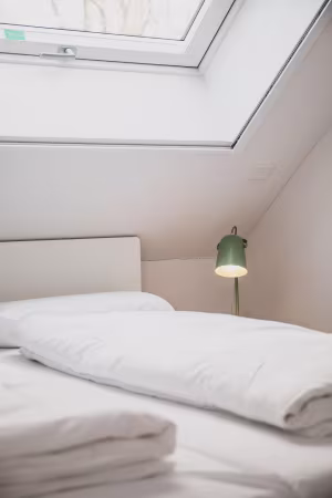 _image8