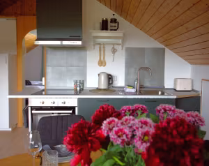 _image1