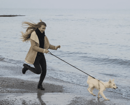 4Pfoten-Urlaub Usedom mit Hund entdecken