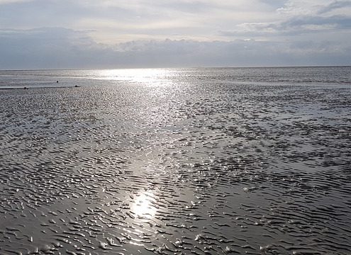 4Pfoten-Urlaub Niedersächsisches Wattenmeer